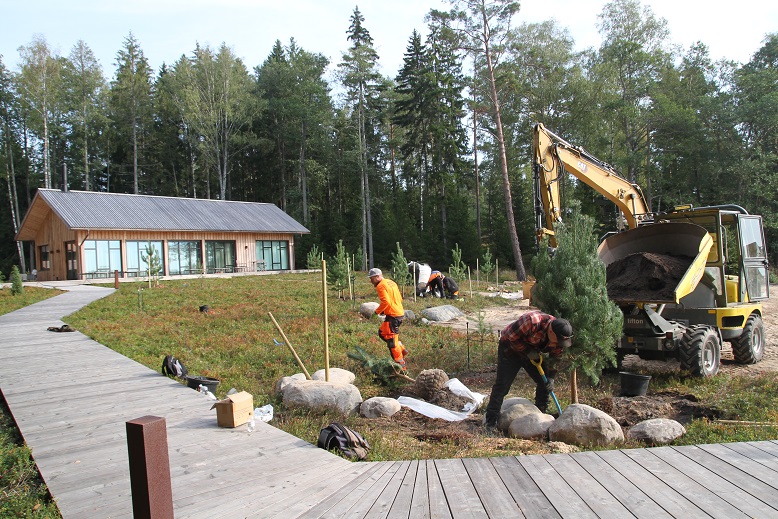 Huvila-alueen istutukset 2025